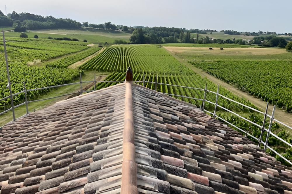 chateau sur les vignes